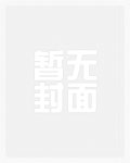[排球少年]饭团100日元起小说封面